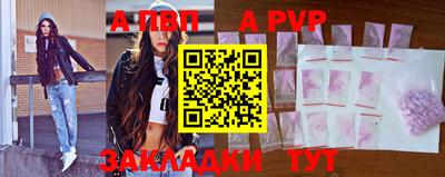 скорость Кингисепп