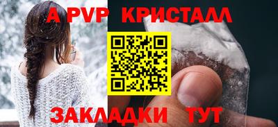 скорость Кингисепп