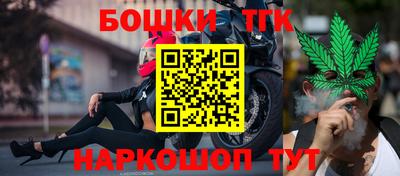 скорость Кингисепп