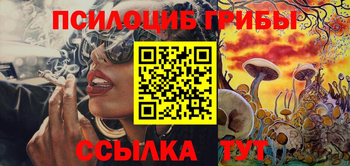 Галлюциногенные грибы Psilocybe Барабинск