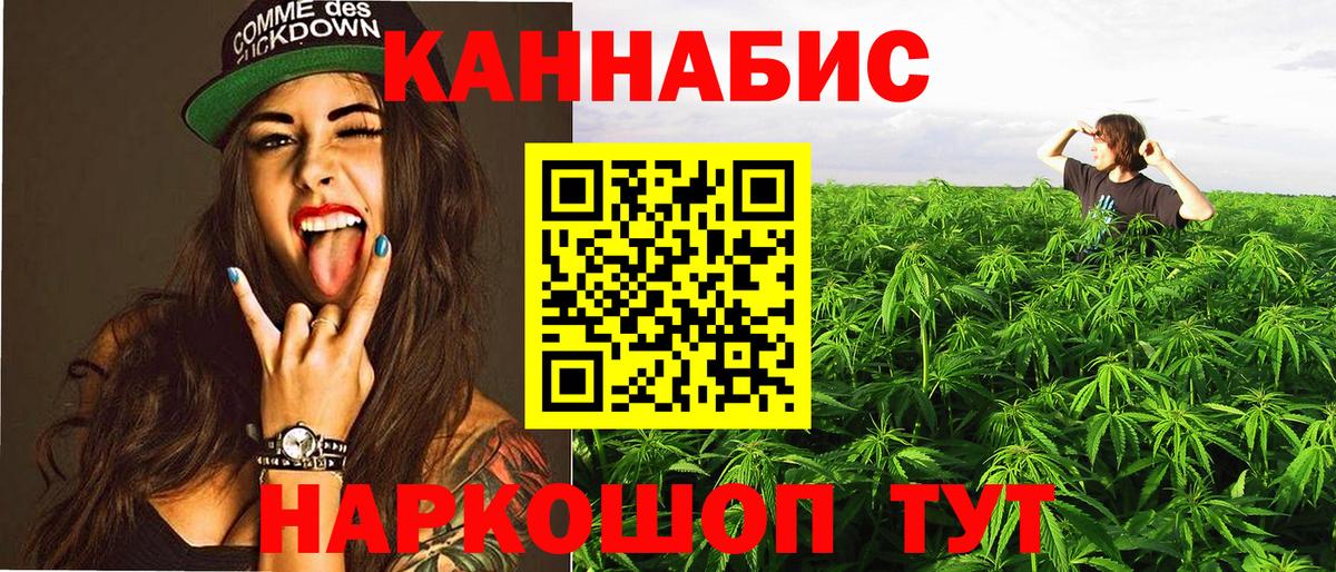 Конопля AK-47  Вход с VPN  Барабинск  Конопля OG Kush 